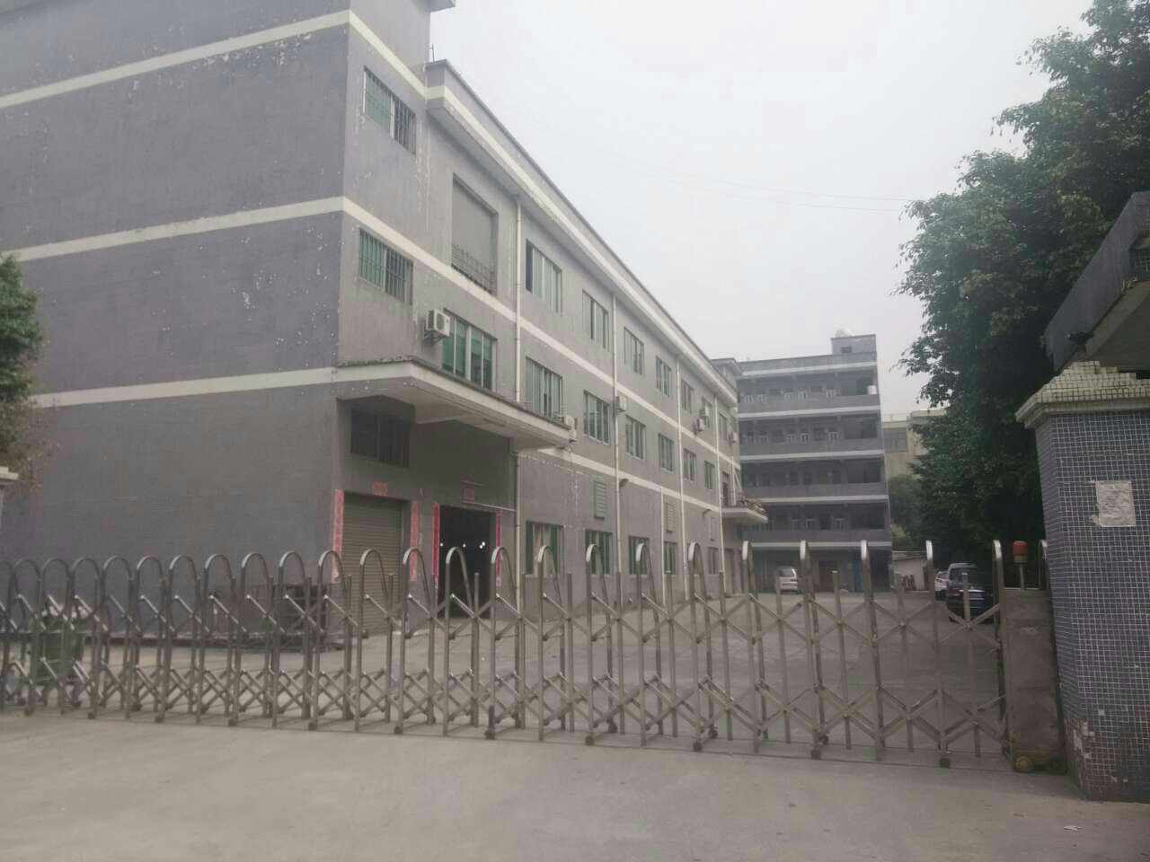 东莞常平新出原房东独院厂房分租一楼1000平方厂房出租